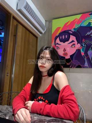 trans girl bearbear21 8046588 trans girl bearbear21 8046588