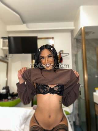 trans girl beatrice0499 8891904 trans girl beatrice0499 8891904