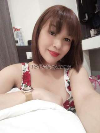 trans girl beautiful24 6919392 trans girl beautiful24 6919392