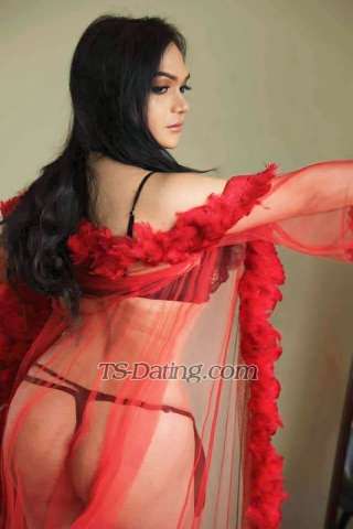 trans girl bellaMonika 9784229 trans girl bellaMonika 9784229