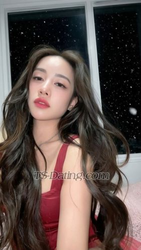 trans girl bellajelo99 5648920