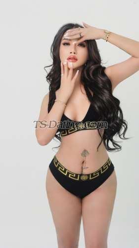 trans girl bellajelo99 9083400 trans girl bellajelo99 9083400