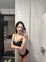 bellsu Ujeongbu Transex hi I'm Lin (h.163 - w.49 ) from thailand🇹🇭 i live in korea  ) i can do anything u want contact me if u wanna cum together 💦💦
🔔🔔 open 1pm - 3am 🔔🔔
(Telegram : https://t.me/puying002)💦🇰🇷
(Telegram: +82 10 5732 8363)💦🇰🇷
 
😘💦Can cum in my mouth
😘👅can lick ass
😘😈good top
😘💋kiss French 
😘🫦nice body
😘🗣️small voice
😘🫶🏻girlfriend feel
Don't be shy to text me if u want to have a good 
Telegram:+821057328363