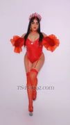 bombaCat Agadir Transex  Courbes irrésistibles qui éveillent ton désir
| Puissance qui comble toutes tes envies | Plaisir pur et
sans limites Espace privé et chic, discret et
luxueux Mes services Plaisir intense &
libération totale Jeux coquins et moments
audacieux Poppers pour intensifier les
sensations Jeux de rôle & fantasmes
brûlants BDSM pour les amateurs de
domination Séances de féminisation
sensuelles DisponibilitéJe viens à toi
ou tu viens à ✅ Uniquement pour
clients sérieux Laisse-moi devenir ton
fantasme… et bien plus encore