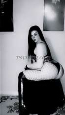 bombaCat Casablanca Transex  Courbes irrésistibles qui éveillent ton désir | Puissance qui comble toutes tes envies | Plaisir pur et sans limites

 Espace privé et chic, discret et luxueux

 Mes services

 Plaisir intense & libération totale

 Jeux coquins et moments audacieux

 Poppers pour intensifier les sensations

 Jeux de rôle & fantasmes brûlants

 BDSM pour les amateurs de domination

 Séances de féminisation sensuelles

 Disponibilité

Je viens à toi ou tu viens à 



✅ Uniquement pour clients sérieux

❌ Absence = Blocage définitif

 Laisse-moi devenir ton fantasme… et bien plus encore