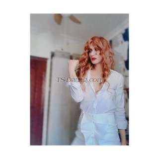 trans girl CAGLASU 3241182 trans girl CAGLASU 3241182