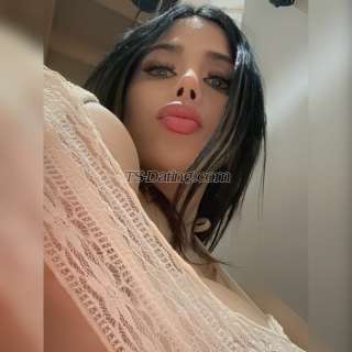 trans girl CAMILALEON 7227463 trans girl CAMILALEON 7227463