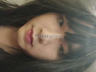 trans girl CDAnne1 4518141 trans girl CDAnne1 4518141