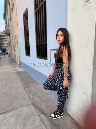 trans girl CamilaContre 4429404 trans girl CamilaContre 4429404