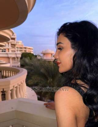 trans girl CamilaElegant 8856383 trans girl CamilaElegant 8856383