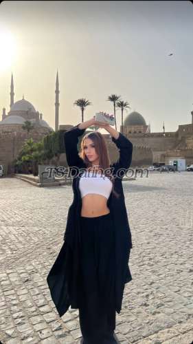 trans girl Camilabzts 7350731 trans girl Camilabzts 7350731