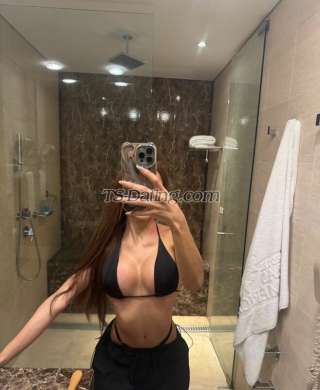 trans girl Camilabzts 8697111 trans girl Camilabzts 8697111