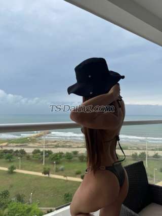 trans girl Camilabzts 8697126 trans girl Camilabzts 8697126