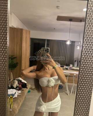trans girl Camilabzts 8697208 trans girl Camilabzts 8697208