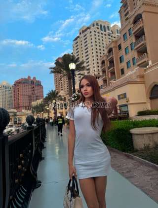 trans girl Camilabzts 9698577 trans girl Camilabzts 9698577