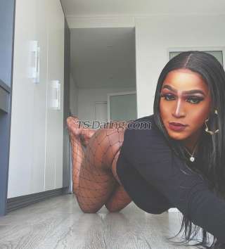 trans girl Camillee 9319026 trans girl Camillee 9319026