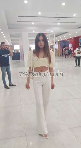 trans girl Candice24 3058493 trans girl Candice24 3058493