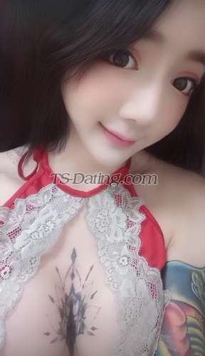 trans girl CandyQiaoqia 4267344 trans girl CandyQiaoqia 4267344