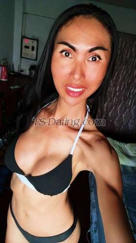 trans girl CandyS5 8136646 trans girl CandyS5 8136646