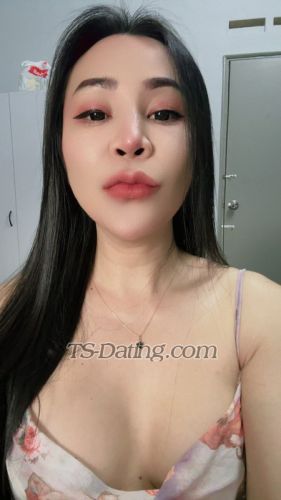 trans girl CandyloveTH 9530065 trans girl CandyloveTH 9530065