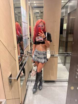 trans girl Carezy 7629985 trans girl Carezy 7629985