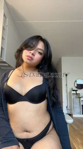 trans girl Carla12345 0098346 trans girl Carla12345 0098346