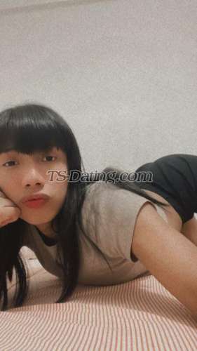 trans girl CarlaPalomi 5010779 trans girl CarlaPalomi 5010779