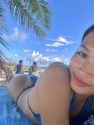 trans girl Carlie 4603444 trans girl Carlie 4603444