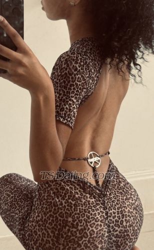 trans girl Carmelle 2519582 trans girl Carmelle 2519582