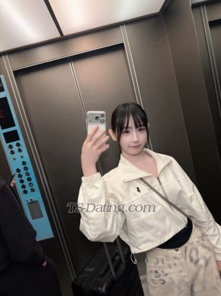 trans girl Carmenxx 8084146