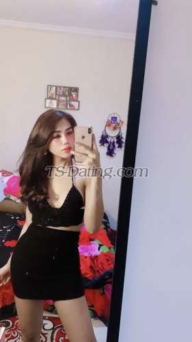 trans girl Carolline 4074754 trans girl Carolline 4074754