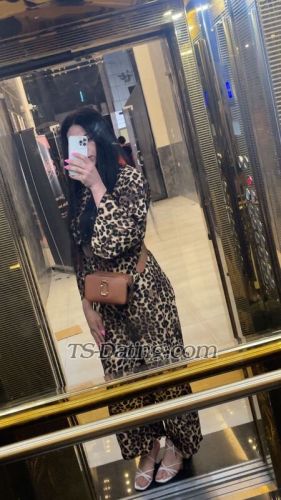 trans girl Cassandra34 4604863