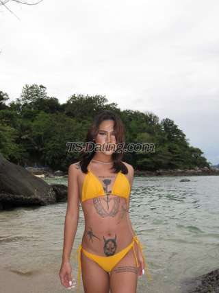 trans girl Cat2544 4308891 trans girl Cat2544 4308891