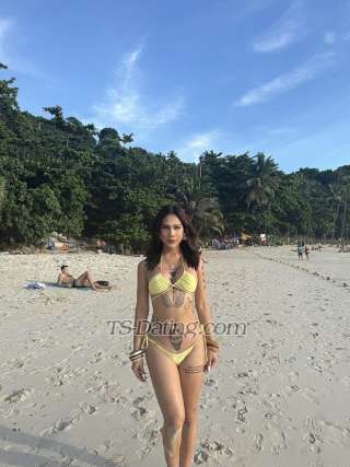 trans girl Cat2544 8542895 trans girl Cat2544 8542895