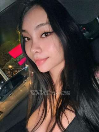 trans girl CatalinaDoll 0176603 trans girl CatalinaDoll 0176603