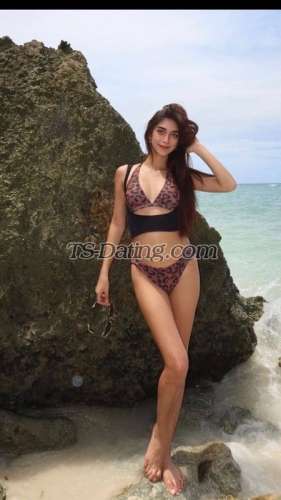 trans girl Cattleyaaa 5601214 trans girl Cattleyaaa 5601214