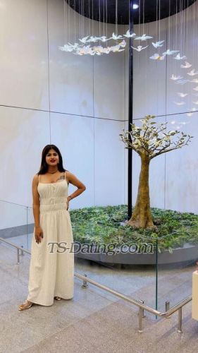 trans girl Chanchalsheml 5860399 trans girl Chanchalsheml 5860399