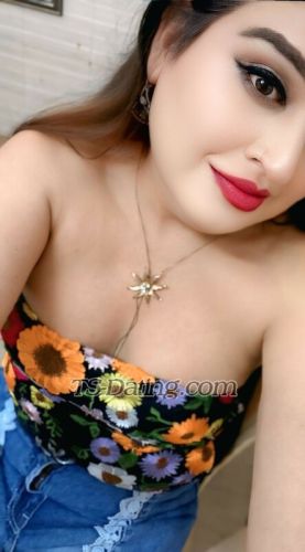 trans girl Chandni20455 8554403 trans girl Chandni20455 8554403