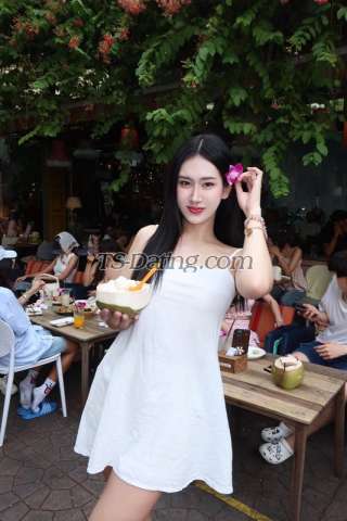 trans girl Cheetar 2741197 trans girl Cheetar 2741197