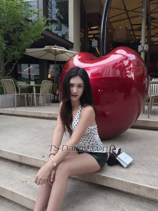 trans girl Cheetar 6213646 trans girl Cheetar 6213646