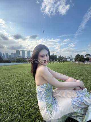 trans girl Cheetar 9120466 trans girl Cheetar 9120466