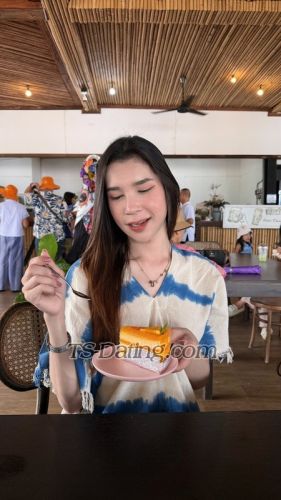 trans girl Cherbell969 1106845 trans girl Cherbell969 1106845