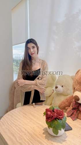 trans girl Cherbell969 2825659 trans girl Cherbell969 2825659