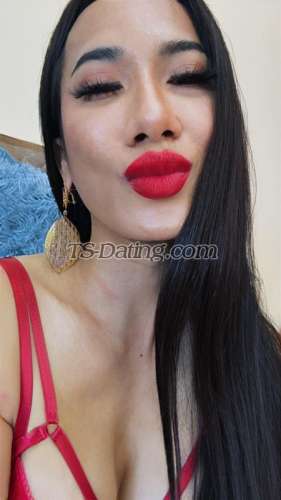 trans girl CherryLee 3342212 trans girl CherryLee 3342212