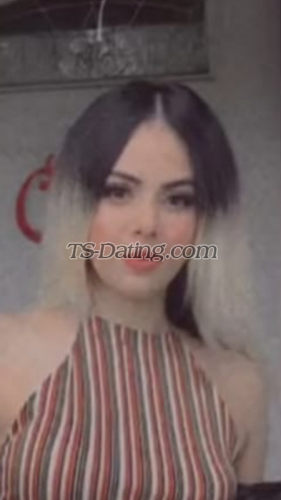 trans girl Chery 0518582 trans girl Chery 0518582