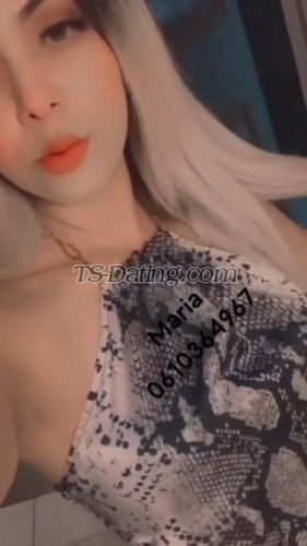 trans girl Chery 5948627 trans girl Chery 5948627