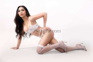 trans girl Cheska22 1025876