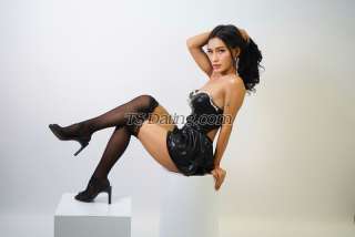 trans girl Chieralee 8204486 trans girl Chieralee 8204486