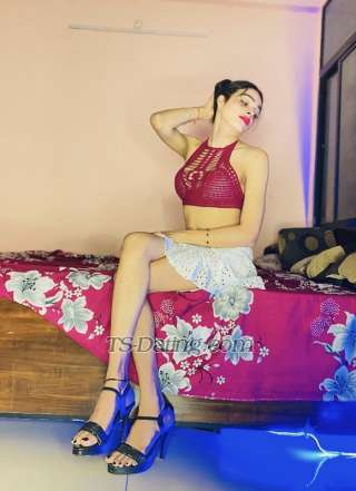 trans girl Christysexy 2963948 trans girl Christysexy 2963948