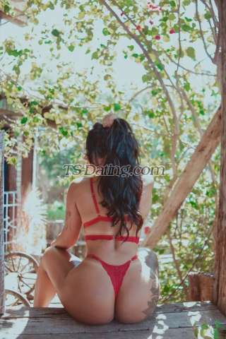 trans girl Cindilii 5778345 trans girl Cindilii 5778345